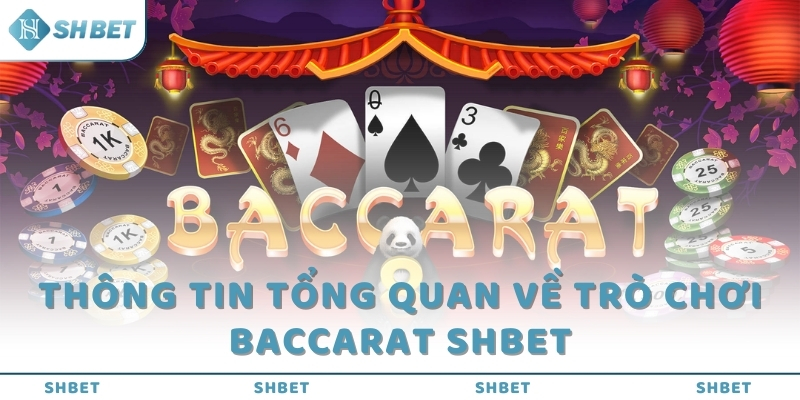 Thông tin tổng quan về trò chơi Baccarat SHBET