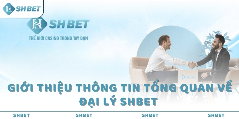 Giới thiệu thông tin tổng quan về đại lý SHBET 