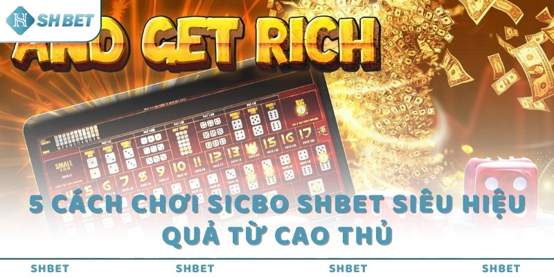 5 cách chơi Sicbo SHBET siêu hiệu quả từ cao thủ