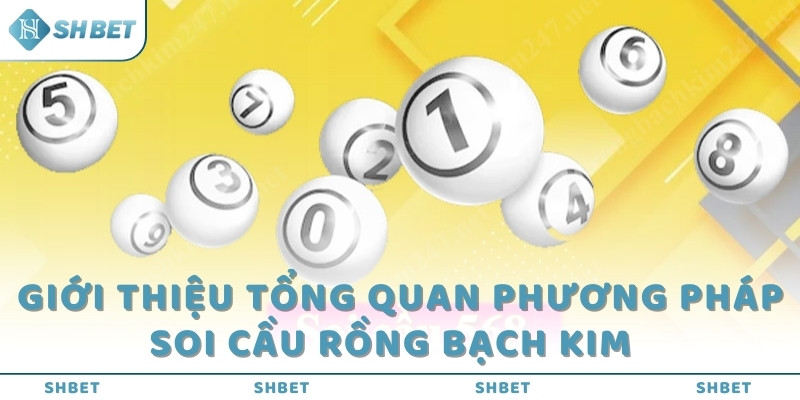 Giới thiệu tổng quan phương pháp soi cầu Rồng Bạch Kim  