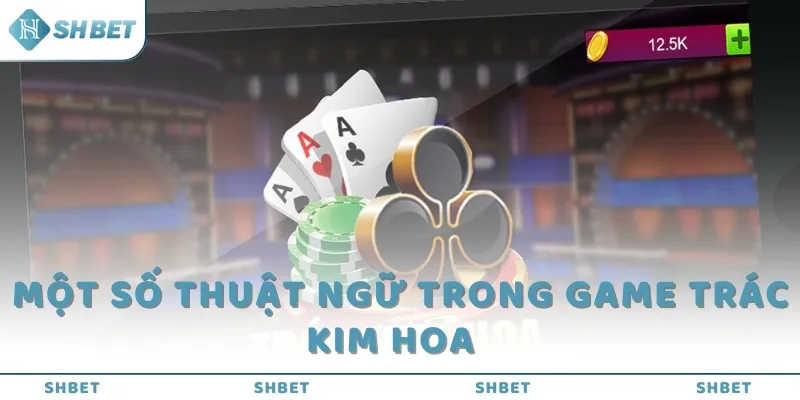 Một số thuật ngữ trong game Trác Kim Hoa  