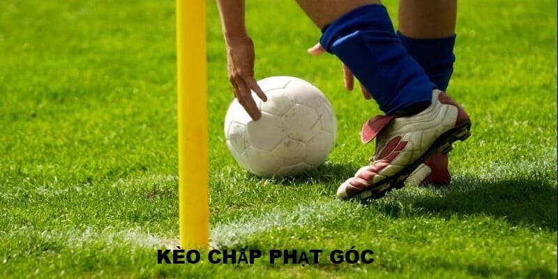 Cược chấp góc luôn được các bet thủ hàng đầu lựa chọn bởi sự hấp dẫn